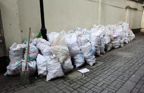 低血壓十幾年,裝修一次全都治好了