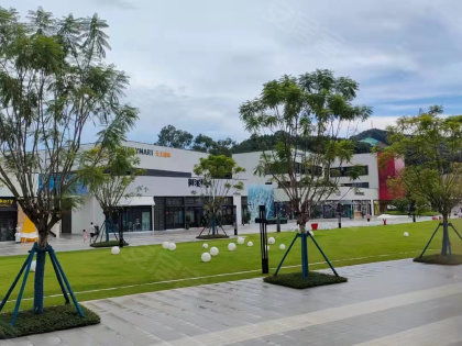 省紡織廠宿舍居住體驗(yàn)全解析 優(yōu)勢(shì)、不足、物管與周邊中介評(píng)價(jià)